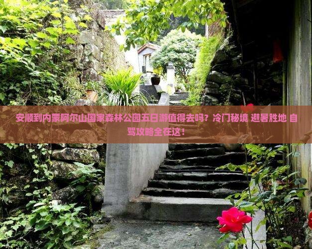 安顺到内蒙阿尔山国家森林公园五日游