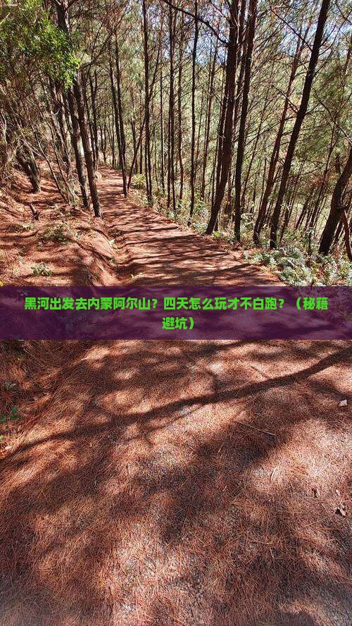 黑河去内蒙阿尔山国家森林公园四日游