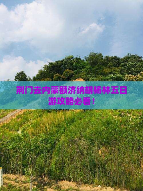 荆门去内蒙额济纳胡杨林五日游