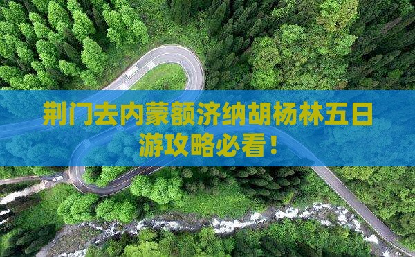 荆门去内蒙额济纳胡杨林五日游