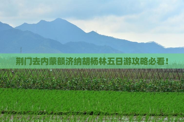 荆门去内蒙额济纳胡杨林五日游