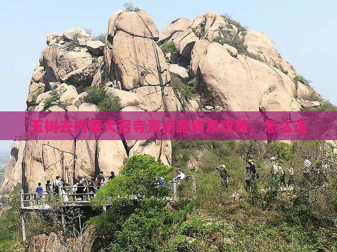 玉树去内蒙大召寺景点