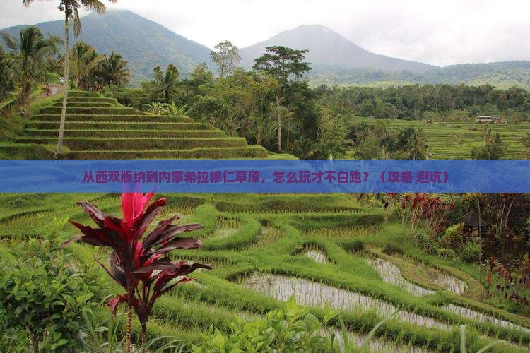 西双版纳去内蒙希拉穆仁草原哪里玩
