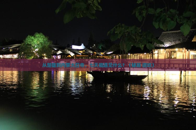 楚雄到内蒙大召寺七日游