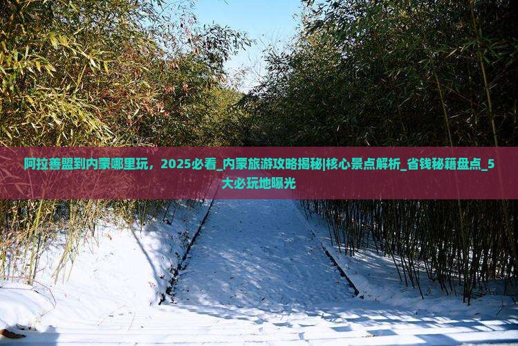 阿拉善盟到内蒙哪里玩