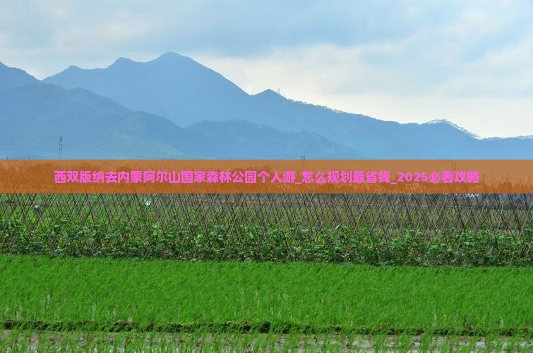 西双版纳去内蒙阿尔山国家森林公园个人游 西双版纳去内蒙阿尔山国家森林公园个人游