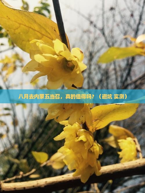 八月去内蒙五当召四日游