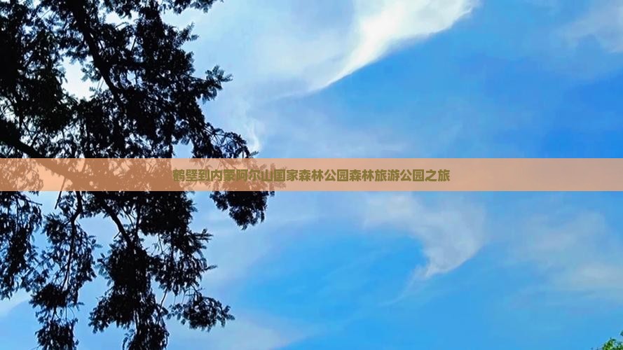 鹤壁到内蒙阿尔山国家森林公园团体旅游