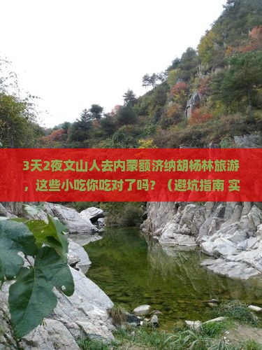 文山去内蒙额济纳胡杨林旅游小吃