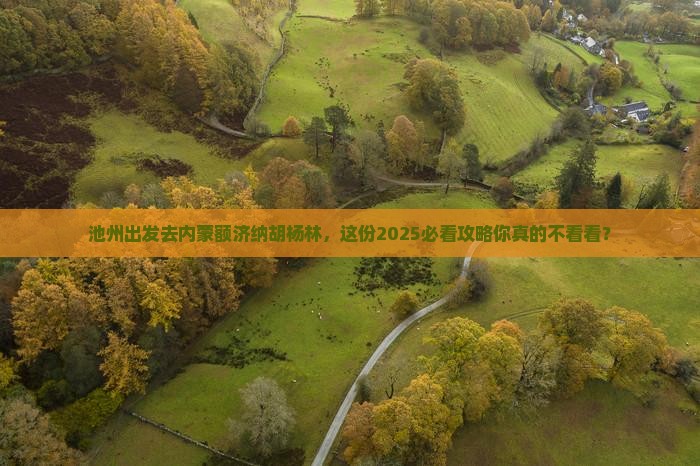 池州去内蒙额济纳胡杨林旅行社