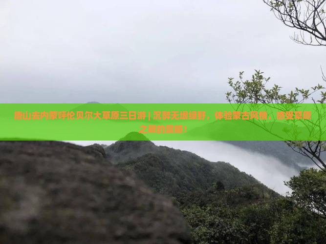 唐山去内蒙呼伦贝尔大草原三日游