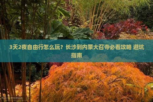 长沙到内蒙大召寺自由团