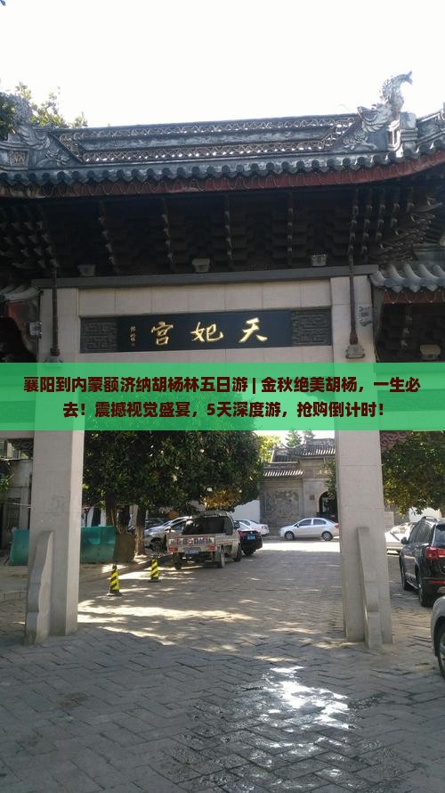 襄阳到内蒙额济纳胡杨林五日游