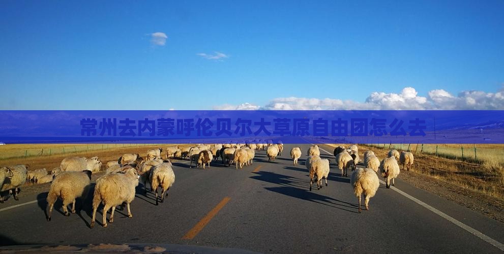 常州去内蒙呼伦贝尔大草原自由团