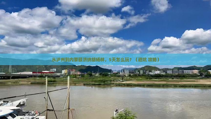 泸州去内蒙额济纳胡杨林景点