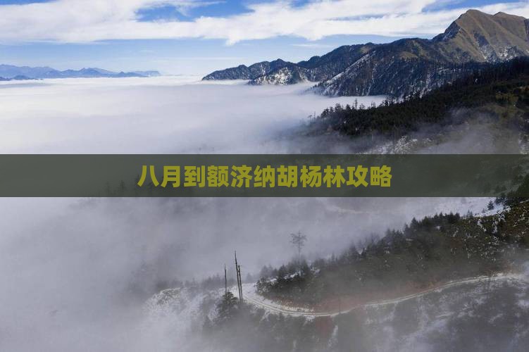 八月到内蒙额济纳胡杨林攻略