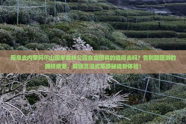 阳泉去内蒙阿尔山国家森林公园自由团