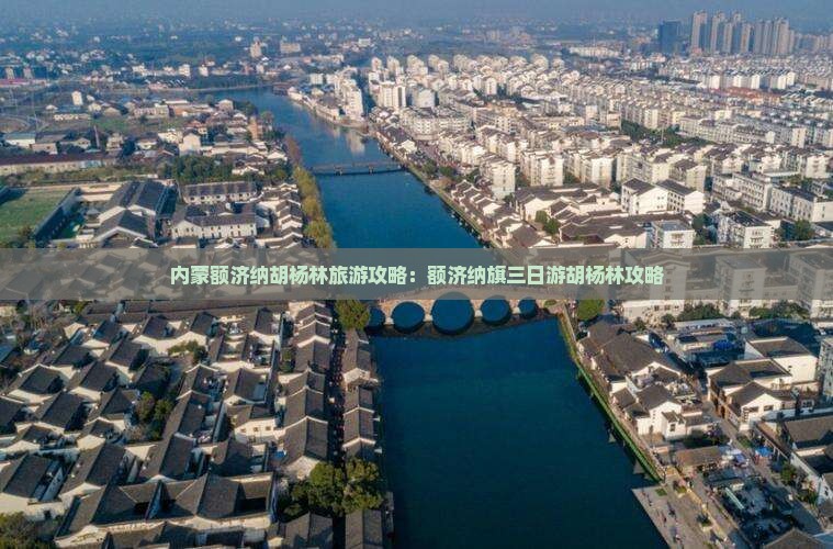 乌海市到内蒙额济纳胡杨林三日游