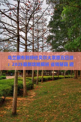乌兰察布到内蒙呼伦贝尔大草原五日游
