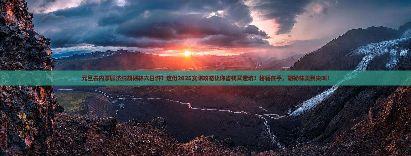 元旦到内蒙额济纳胡杨林六日游