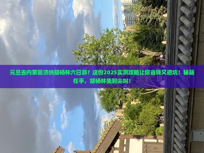 元旦到内蒙额济纳胡杨林六日游