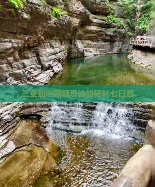 三亚到内蒙额济纳胡杨林七日游