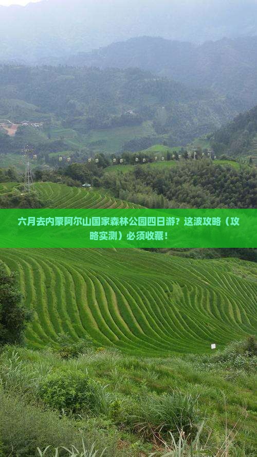 六月去内蒙阿尔山国家森林公园四日游