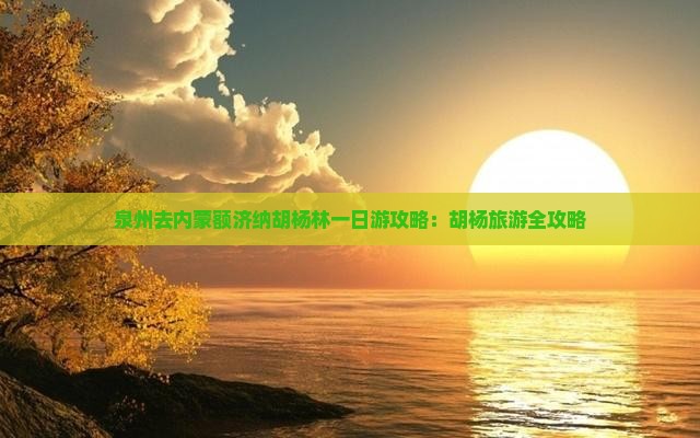 泉州去内蒙额济纳胡杨林一日游