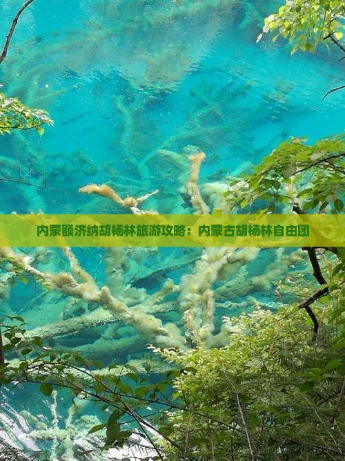连云港到内蒙额济纳胡杨林自由团