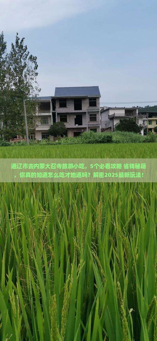 通辽市去内蒙大召寺旅游小吃
