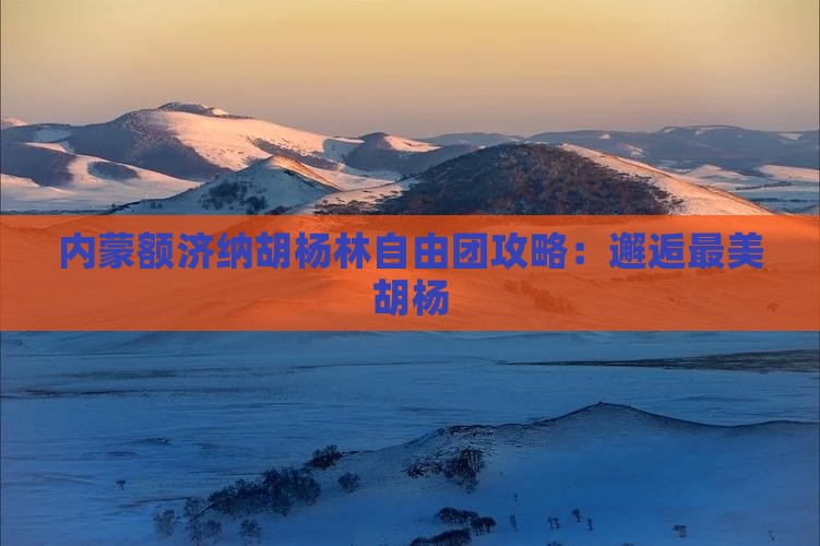 衢州到内蒙额济纳胡杨林自由团