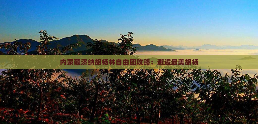 衢州到内蒙额济纳胡杨林自由团