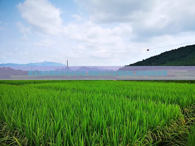 商洛去内蒙响沙湾必去地