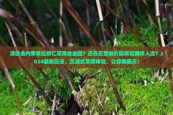 清徐去内蒙希拉穆仁草原自由团