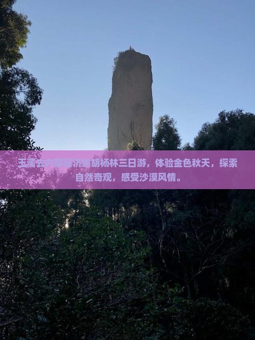 玉溪去内蒙额济纳胡杨林三日游