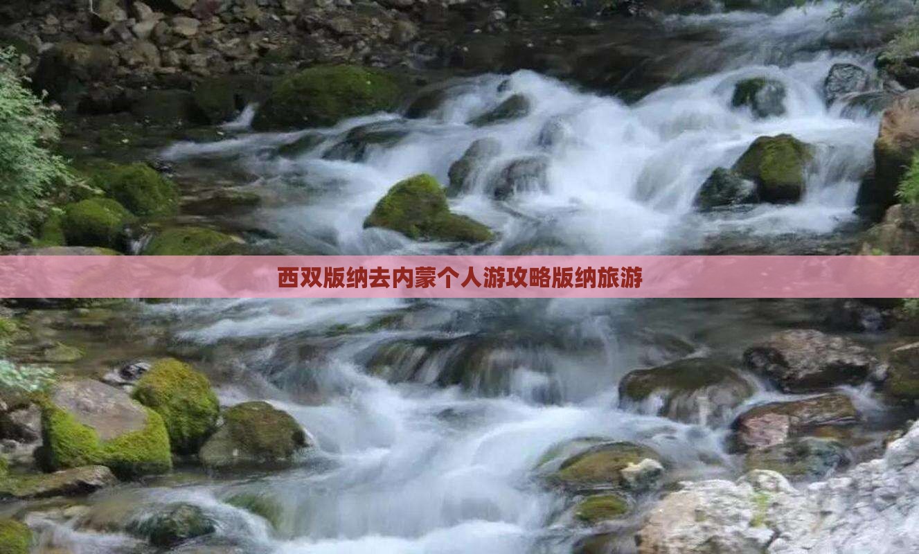 西双版纳去内蒙个人游