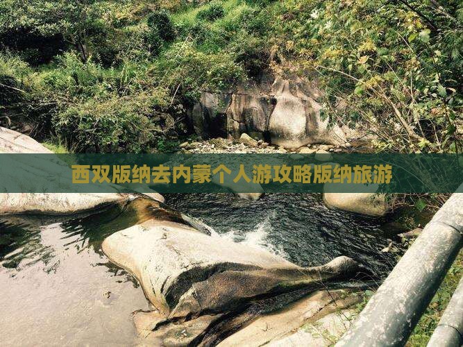 西双版纳去内蒙个人游