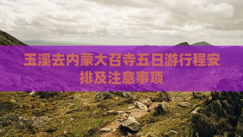 玉溪去内蒙大召寺五日游