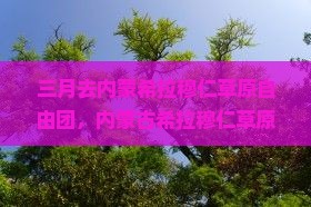 三月去内蒙希拉穆仁草原自由团