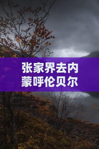 张家界去内蒙呼伦贝尔大草原四日游