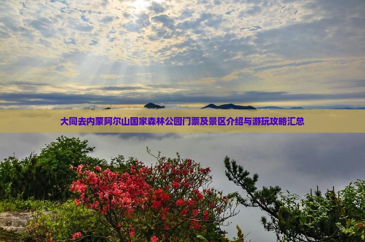 大同去内蒙阿尔山国家森林公园门票