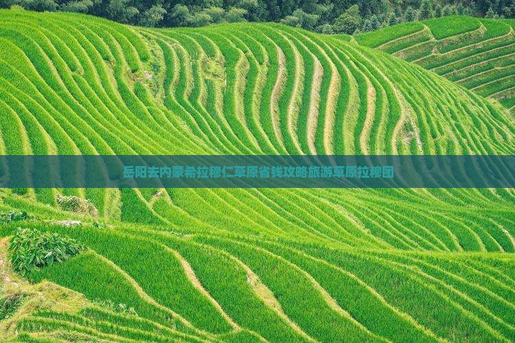 岳阳去内蒙希拉穆仁草原自由团