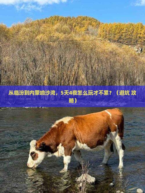 临汾到内蒙响沙湾自由行