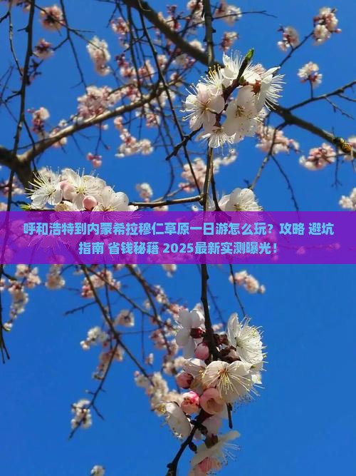 呼和浩特到内蒙希拉穆仁草原一日游