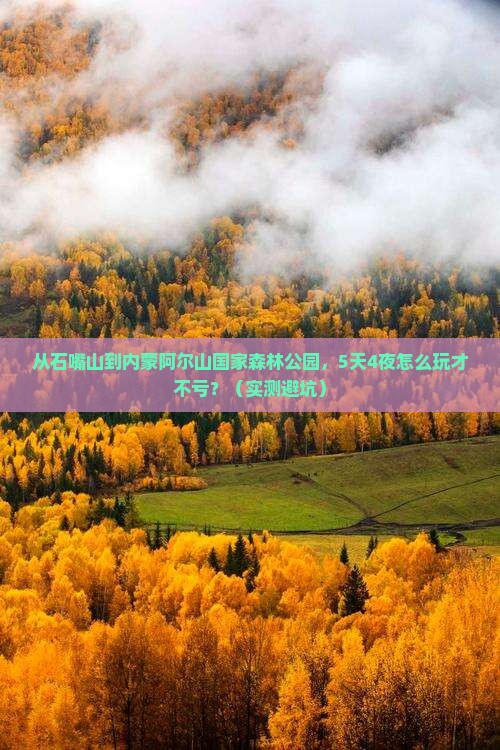 石嘴山去内蒙阿尔山国家森林公园个人游