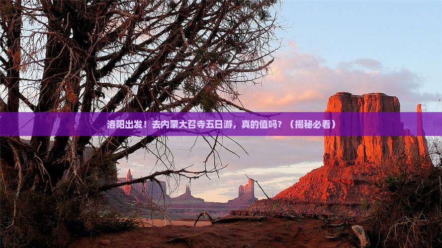 洛阳去内蒙大召寺五日游