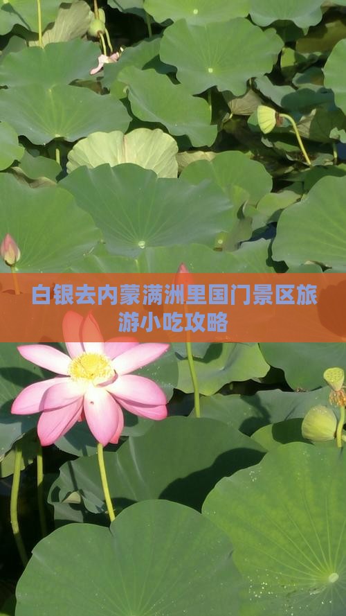 白银去内蒙满洲里国门景区旅游小吃 白银去内蒙满洲里国门景区旅游小吃