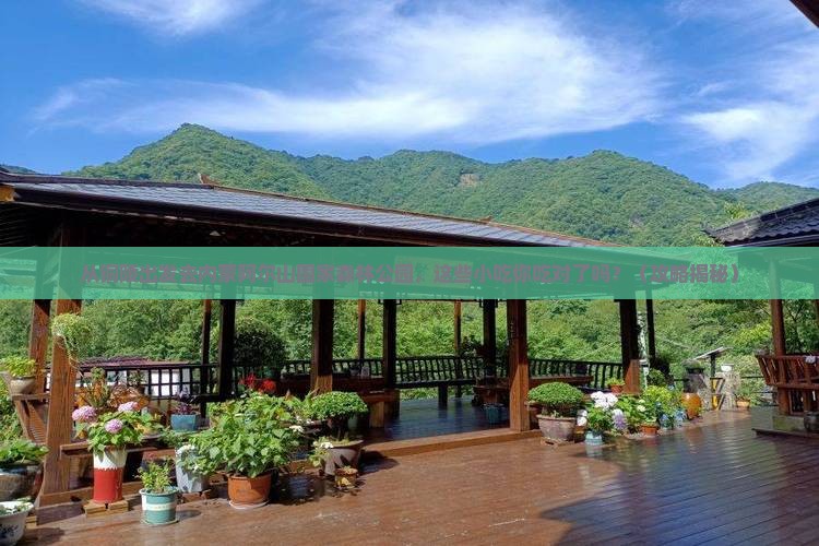 铜陵去内蒙阿尔山国家森林公园旅游小吃