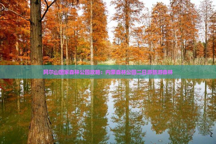 呼和浩特到内蒙阿尔山国家森林公园二日游