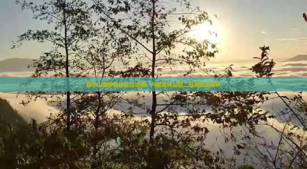 呼和浩特到内蒙阿尔山国家森林公园二日游